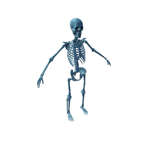 Ice_stylized_Skeleton Variant